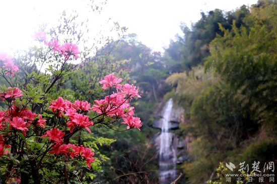 黃龍山頂，風景如畫 黃錚 攝_副本.jpg.jpg