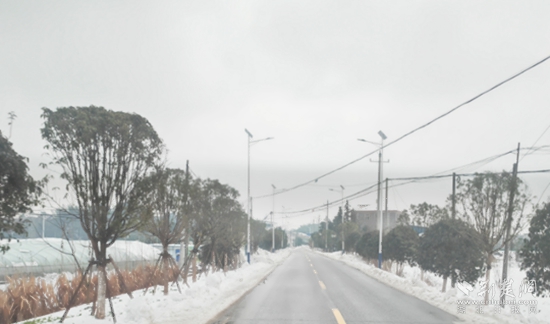 省道S356董家垅-朱新線路口9.3公里，都清理到邊，路面不見雪 高橋鎮(zhèn).jpg
